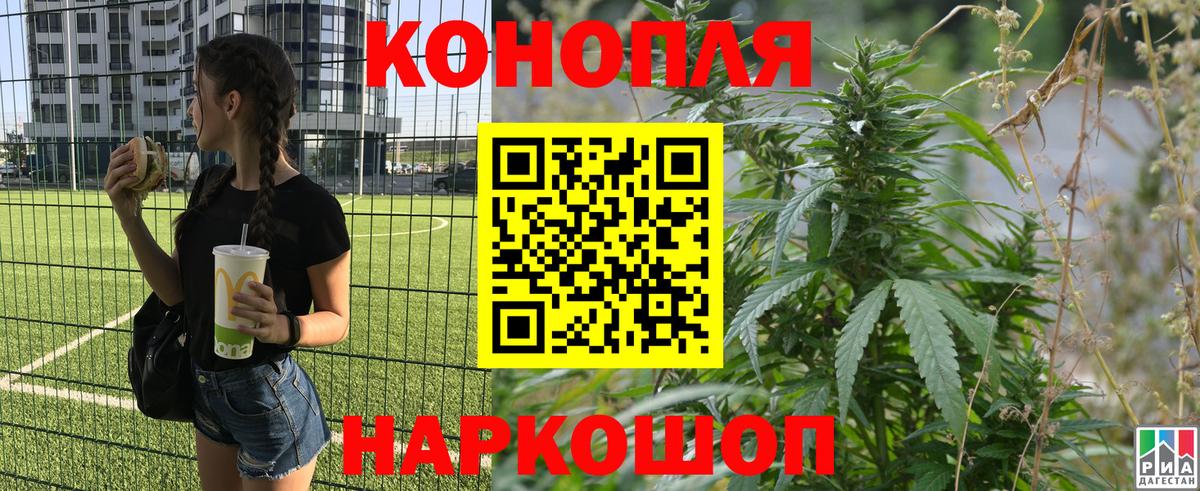 Бошки Шишки сатива Лангепас